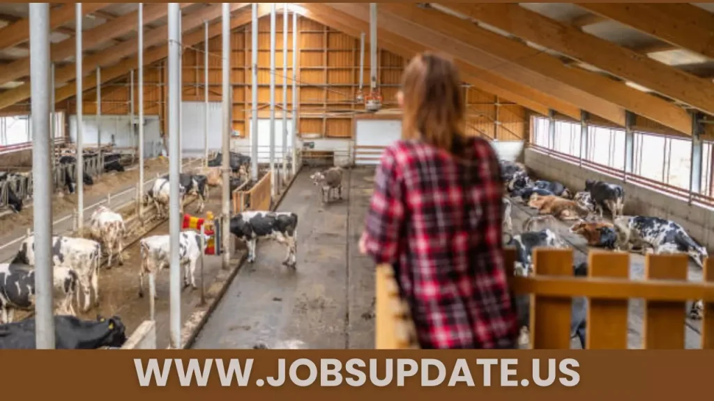 Dairy Farm Worker Job at Corlane Holsteins Ltd 2024