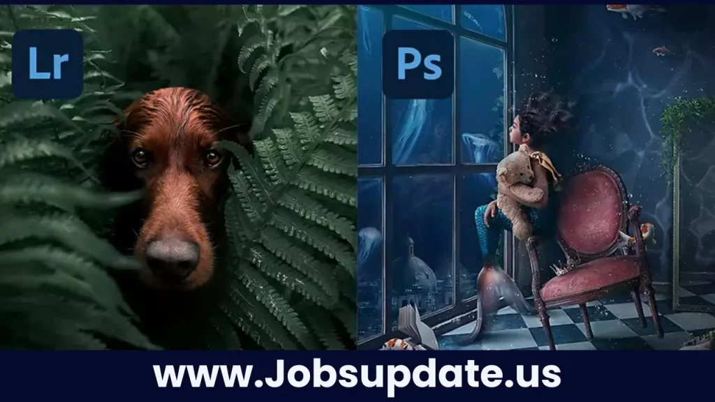 Picture Finishing Assistant Job at Company 3/Method Studios 2024