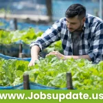 Vegetable Farm Worker Job 2024